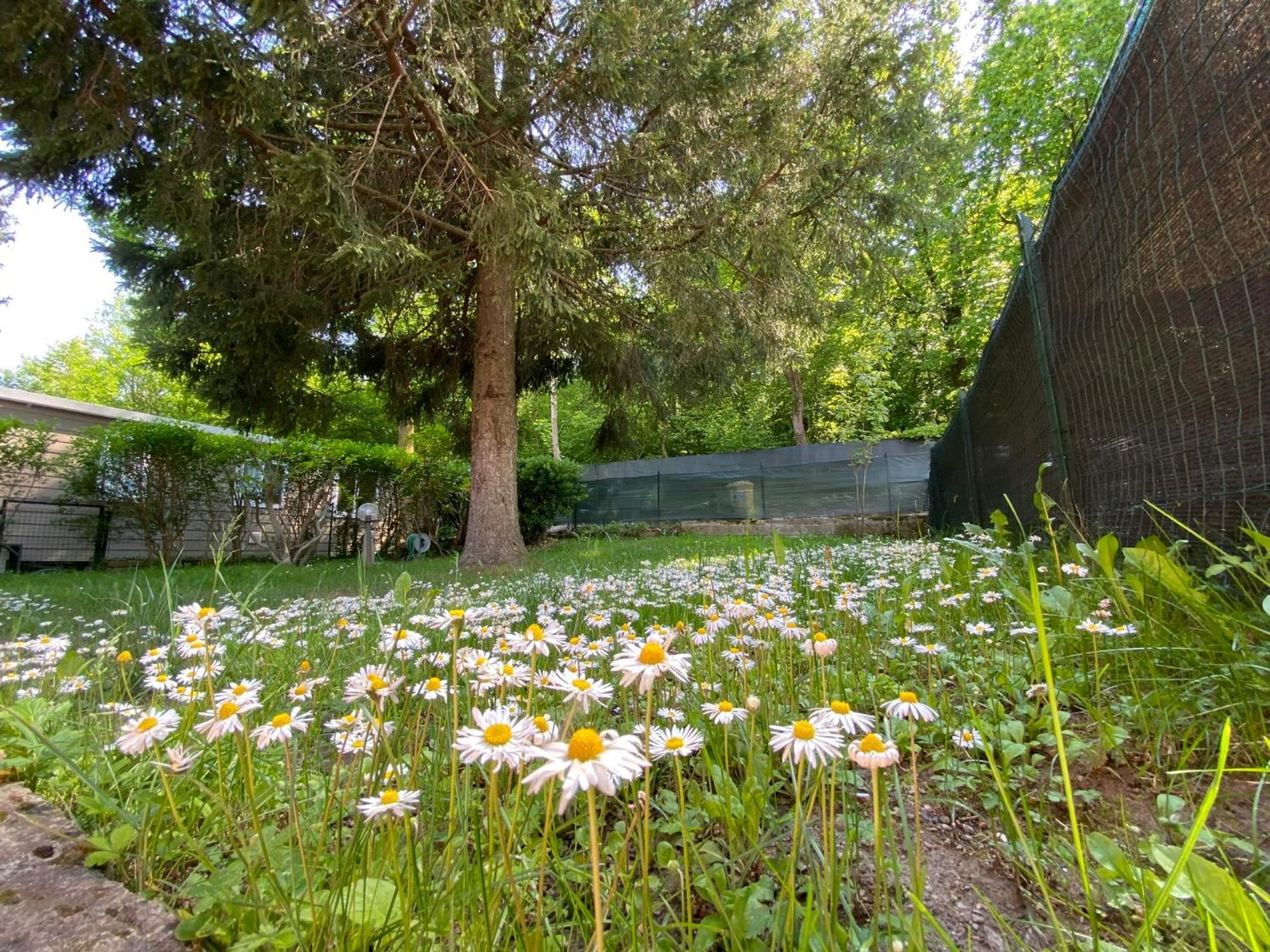 Camping Montorfano Kültér fotó